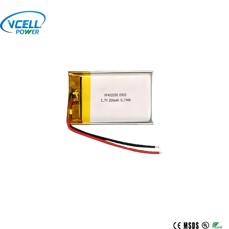 Lithium Polymer Battery